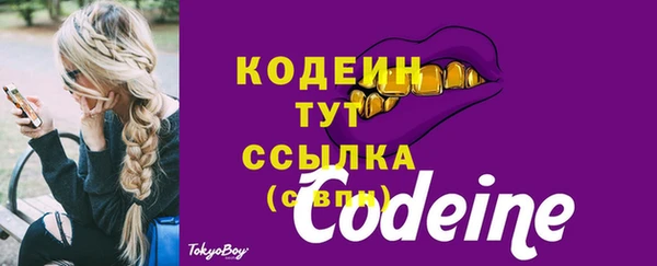 твердый Каменногорск