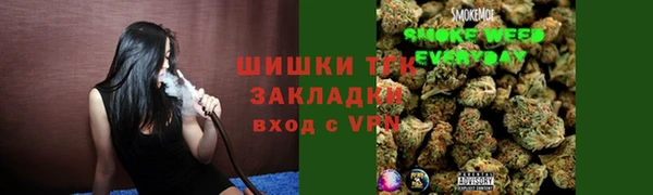 твердый Каменногорск