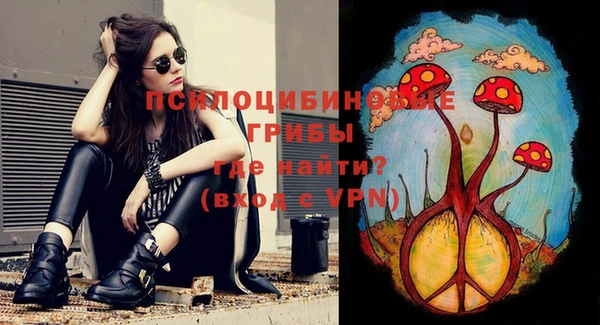 каннабис Каменка