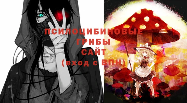 дурь Каменск-Шахтинский